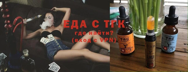 стаф Арсеньев