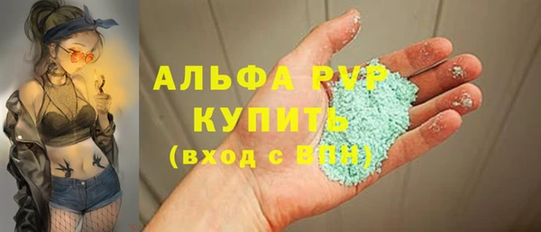 стаф Арсеньев