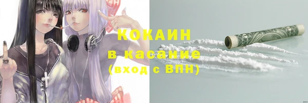 стаф Арсеньев