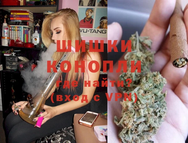 стаф Арсеньев