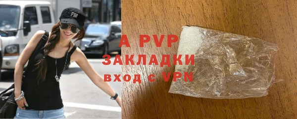стаф Арсеньев