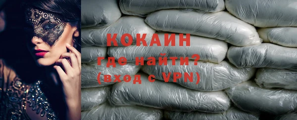 стаф Арсеньев