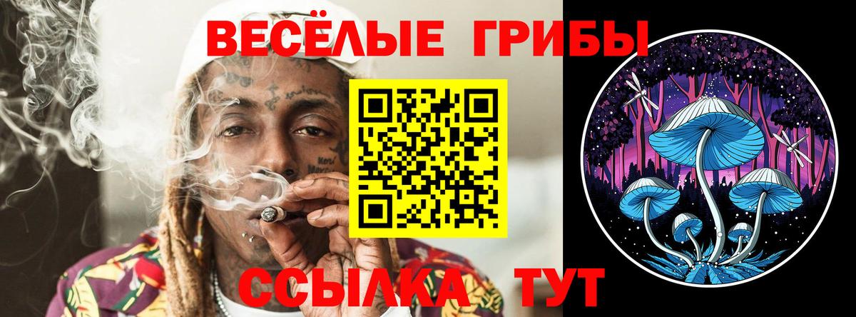Железноводск  Галлюциногенные грибы прущие грибы  Вход с VPN  Псилоцибиновые грибы мухоморы 