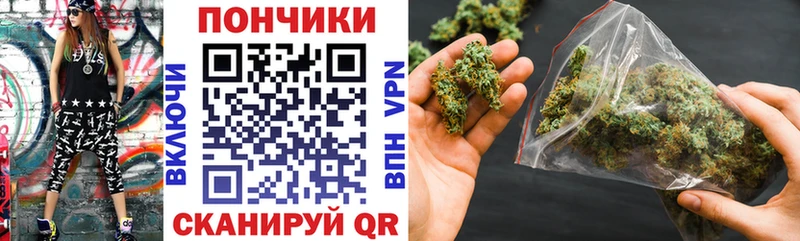 купить   Железноводск  Каннабис сатива 